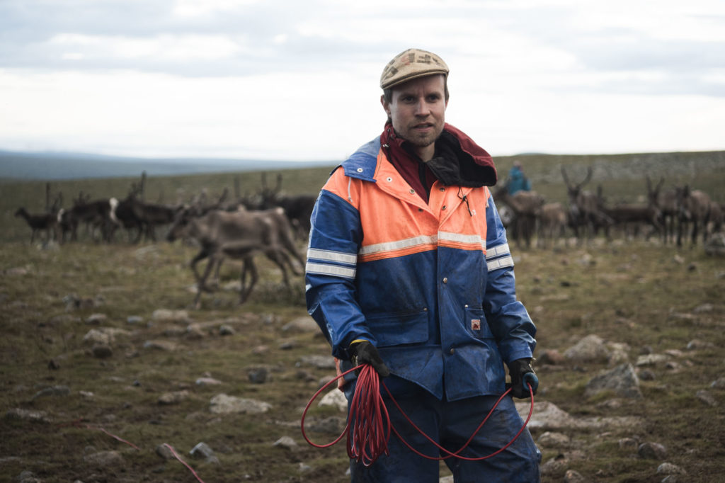 Simon Issát Marainen tends his reindeer in northern Sweden. (Camilla Andersen/GroundTruth)