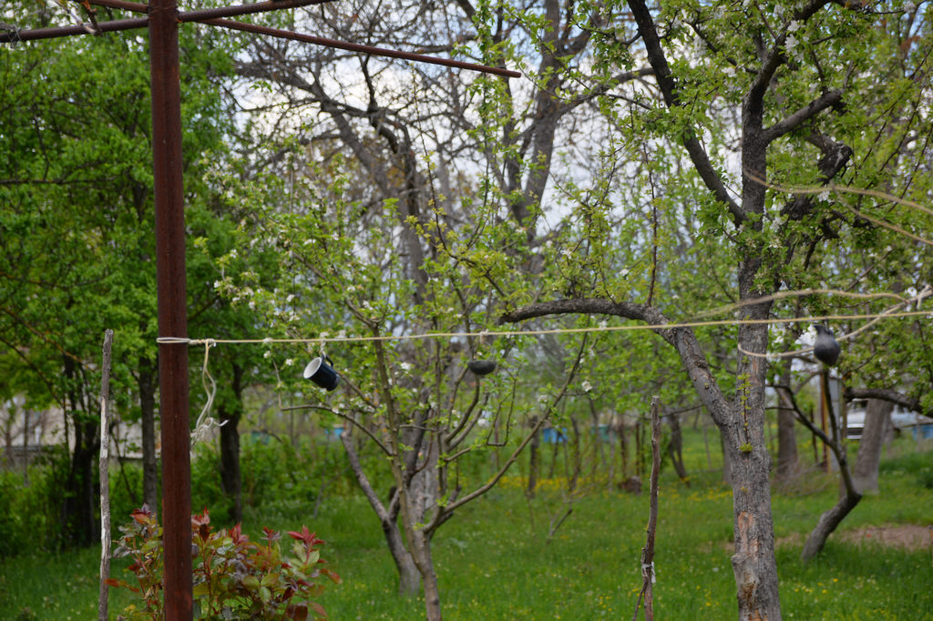 Pottery hangs in Lia Chlachidze’s garden, the only remnants of her life she found in her burned down home at the end of the five day war that created the breakaway, pro-Russia region of South Ossetia. (Maryam Saleh/Medill/GroundTruth)