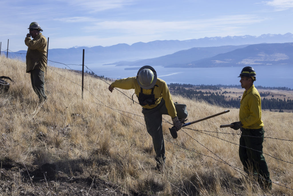 Members of the Confederated Salish and Kootenai Tribes Division of Fire cross over a barbed wire fence after preparing a barrier for a prescribed burn just along a ridge line outside of Elmo, Montana, on Tuesday, October 24, 2017. (Photo by Brittany Greeson)