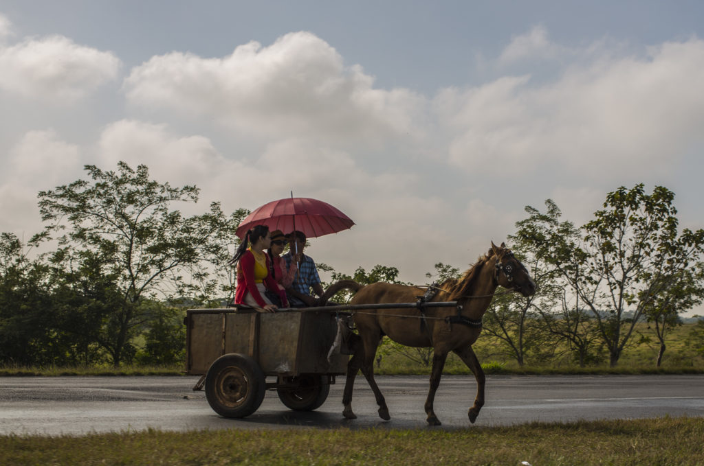 A horse and buggy drive on a road in Sandino, Cuba. (Photo by Desmond Boylan/GroundTruth)