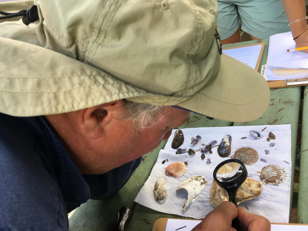 Jonah Maidoff, a middle and high school teacher on Martha's Vineyard, examines a shell that has been sitting in a vinegar solution, as part of a lesson on climate change and ocean acidification. (Photo by Samantha Fields/GroundTruth)