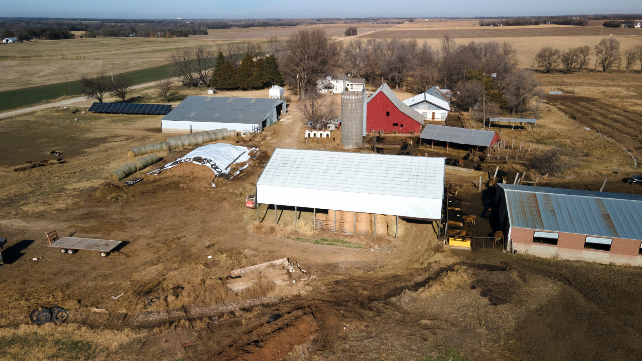 How to save the tallgrass prairie, acre by acre | The GroundTruth Project